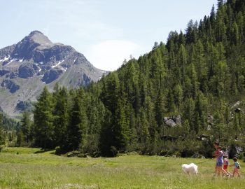 Val di Fiemme