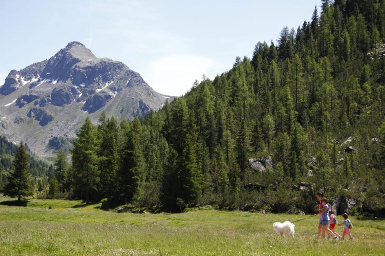 Val di Fiemme