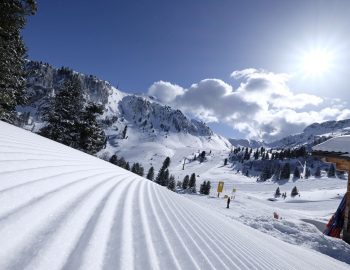 Alpe di Pampeago